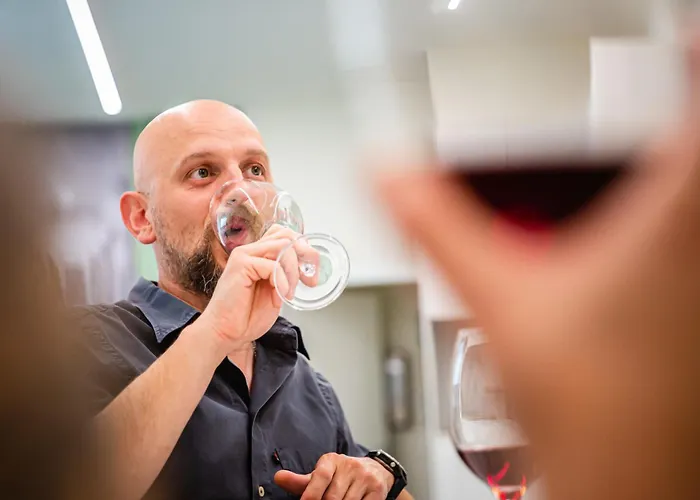 Paradise Apartamento